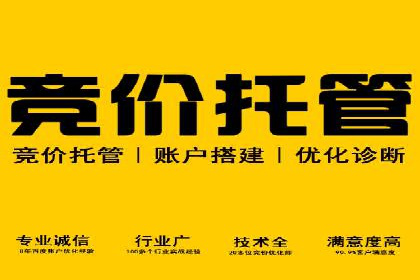 竞价托管服务案例解析